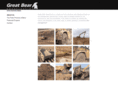 greatbearconstruction.com