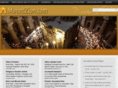 mountzion.com