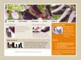 panfixfootwear.com