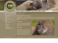 traceythornton.co.nz