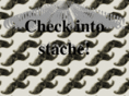 branstache.com