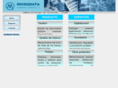 microdataservicios.com