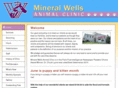 mineralwellsanimalclinic.com