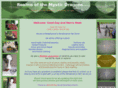 realmsofthemysticdragons.com