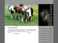 alcockhorseranch.com