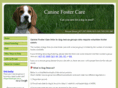 caninefostercare.org.au