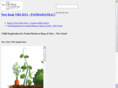 newkentvbs.com