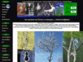 arborsculpture.com