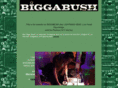 biggabush.co.uk