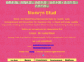 morwynponies.com