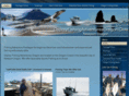 ospreyfishingadventuresoregon.com
