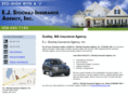 stochajinsurance.net