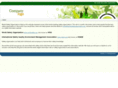 worldsafetyorganization.org