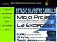 bailandocomoenanos.com