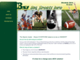 bigsportsinfo.com