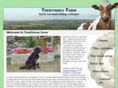 trentinney.co.uk