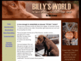 billybobbook.com