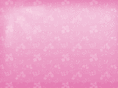 chloescloset.net