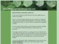 globalwarmingcarbonfootprints.com