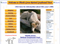 greyhoundtrust.co.uk