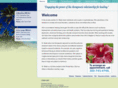 keyscounseling.com