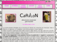 carillonragdolls.com