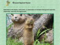 linedgroundsquirrels.com