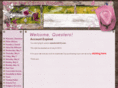 questers2010.com