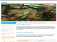 biostatistix.com