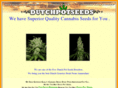 dutchweedseeds.com