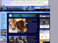 energyitalia.com