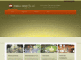 positivelivingfengshui.com