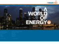 pvalveasia.com