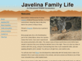 javelinafamilylife.com