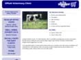 petvetbasics.com