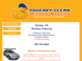 santeewindowcleaning.info