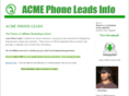 acmephoneleadsinfo.com