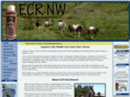 ecrnw.com