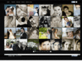 gitarteli.com