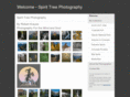 spirittreephotography.com