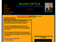 blackcattlebook.com