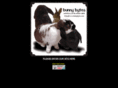bunnybytes.com