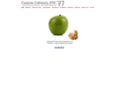 customcabinetsnyc.com