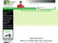 electricgolfbuggy.com