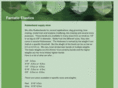 fantasticelastics.com