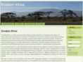 ecodymafrica.com