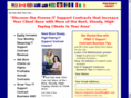 itsupportcontractsecrets.com