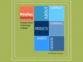 protecmarketing.biz