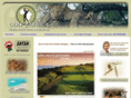 golf2africa.com