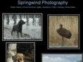 springwindphotography.com